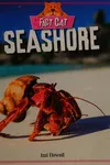 Seashore