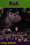 Rat
