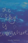 The sky is everywhere
