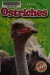 Ostriches