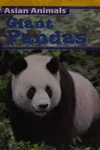 Giant pandas