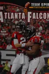 The Atlanta Falcons