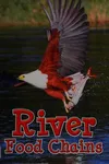 River food chains