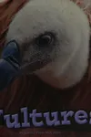 Vultures