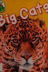 Big cats