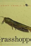Grasshopper