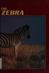The zebra
