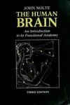 The human brain
