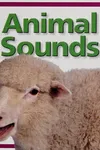 Animal sounds
