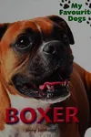 Boxer