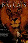 Discover big cats
