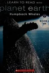 Humpback whale