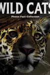 Wild cats