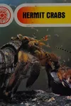 Hermit crabs