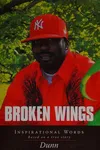 Broken wings