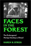 Faces in the forest