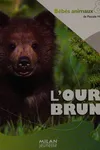 L'ours brun