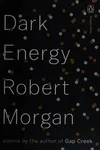Dark energy