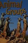 Animal groups