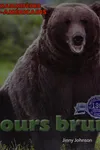 L'ours brun