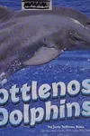 Bottlenose dolphins