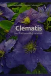 Clematis