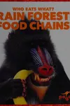 Rain forest food chains