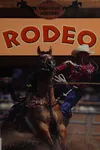 Rodeo