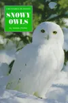 Snowy owls