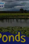 Ponds