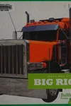 Big rigs