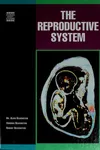 The reproductive system
