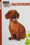 Dachshund