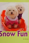 Snow fun