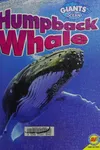 Humpback whale