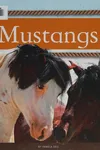 Mustangs