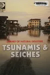 Tsunamis and seiches