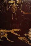 Animaux