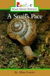 A snail's pace