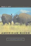 American bison