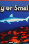 Big or small?