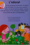 Les cinq sens