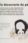 Le grand panda