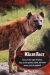 Hyenas