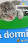 ¡A dormir!