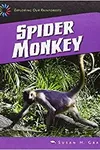 Spider monkey