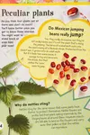 Do plants really eat insects?