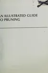 An illustrated guide to pruning