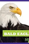 Bald eagles