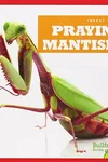 Praying mantises